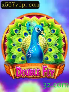 DoubleFly: Aventura e Estratégia no Mundo dos Jogos